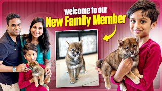 நம்ம வீட்டுக்கு ஒரு புது வரவு| Please welcome our new family member- We are so happy #sowmyamothi