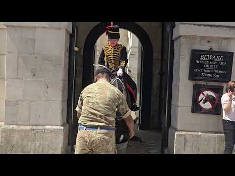 WATER MAKES THE HORSE AND GUARD SMILE #kingsguard 