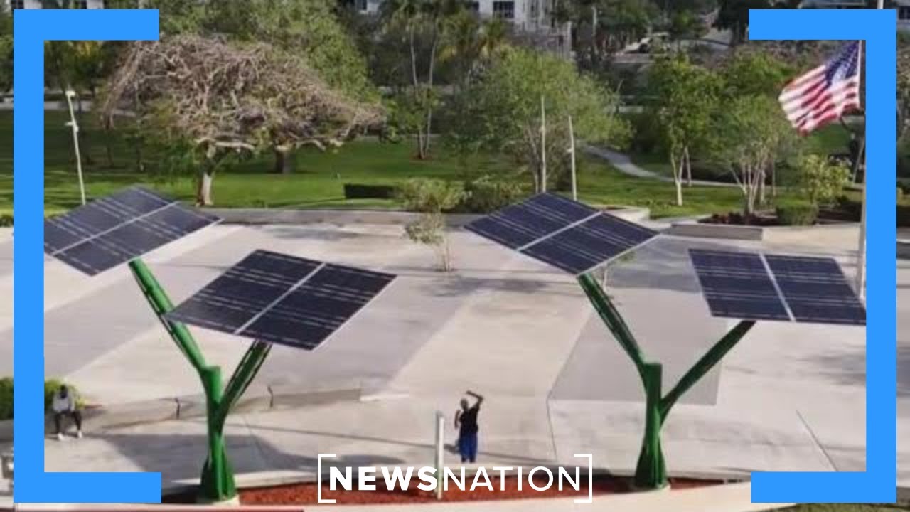 California forced to throw out excess solar energy | Morning in America