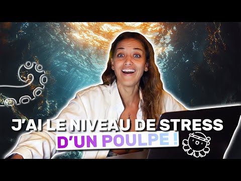 🔻J'ai le même NIVEAU DE STRESS qu'un POULPE | Le Corps La Maison L'esprit