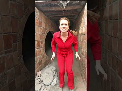 women want to do bad with this pitbull dog