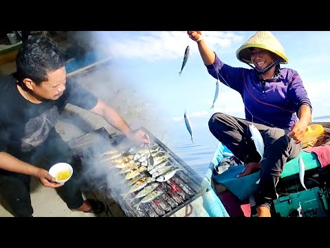 Panen berbagai jenis ikan pelagis | memancing & Memasak