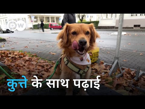 स्टूडेंट्स की मदद करने वाला कुत्ता [Germany: Little Joe, the therapy dog]