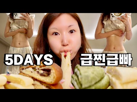 빵 먹으면서 감량!!🥯 신혼여행 후 급찐급빠 성공🔥 강제 미라클모닝, 인생 평양냉면, 몽중헌, 안국 분좋카 추천, 초코덕후, 잇더핏 쉐이크, 새벽기상, 자기관리, 프리랜서 일상