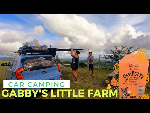 Gabby's Little Farm