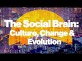 Understanding Human Evolution and Cultural Dynamics
