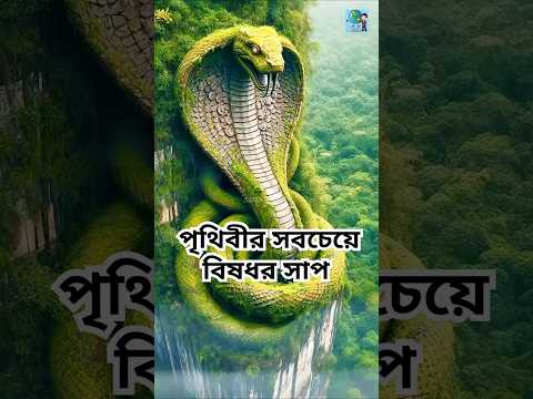 দুনিয়ার ৩ টি সবচেয়ে বিষধর সাপ 😱 #shorts #বাংলায় #bengali #facts #BengaliFacts # #bengaladesh #snake