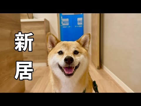 お引っ越し完了、ふたり暮らしが始まりました。