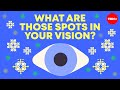 Understanding Visual Illusions and Afterimages