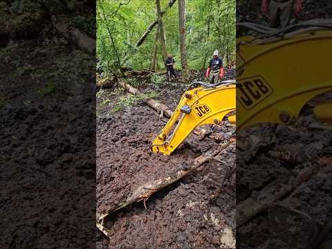 Niche Chala Gaya hai #shorts