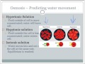Cell Membrane Transport Mechanisms