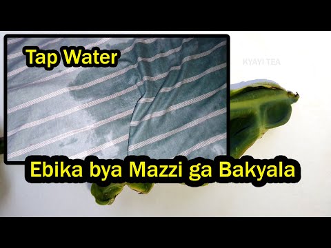 Ebika bya Mazzi ge Mana Bibino gwe Kwago Olinako Mazzi Ki
