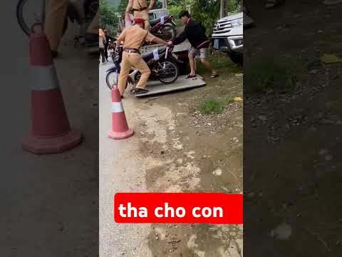 tha cho con chú ơi #shorts