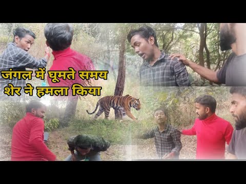 जंगल में घूमते समय शेर ने हमला किया | shashi babu | आप भी जंगल में जाए तो सतर्क रहें #viralvideo 🥹🥹