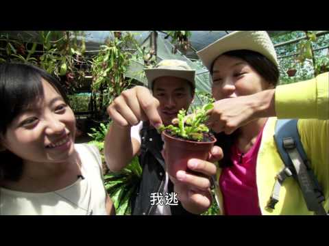 啥米！植物會動？ FOLLOW ME, BANG! 【下課花路米 精選】1411短版 - YouTube