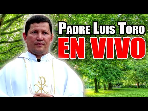 Atesoren TESOROS en el CIELO | ESTA ES LA RECOMPENZA | PADRE LUIS TORO