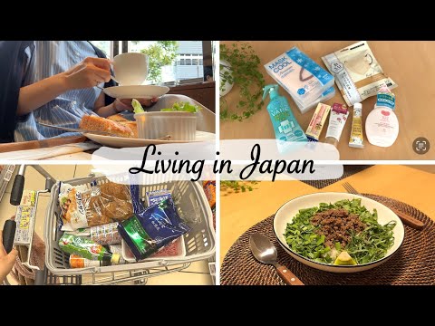 shopping at cheap drugstore, grocery shopping, make ethnic meat sauce for dinner | vlog