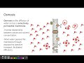 Exploring Diffusion and Osmosis in Cells