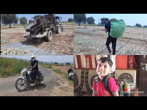 खेतो से बाजरा कैसे निकालते है? l Full Desi life l vlog