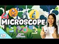 Exploring Microscope Parts and Functions