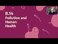 Exploring Pollution's Impact on Human Health