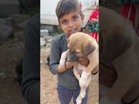 JUST A CUTE VIDEO #shorts #youtubeshorts #trending #ytshorts