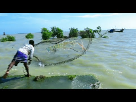 Machhali wala catching fish in river by cast net fishing - mass dhara - amazon fishing