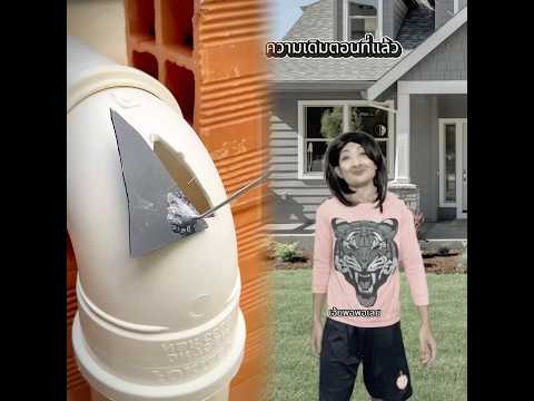 วิวัฒนาการจองสิบล้อ