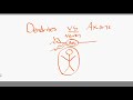 Neuron Structure and Function