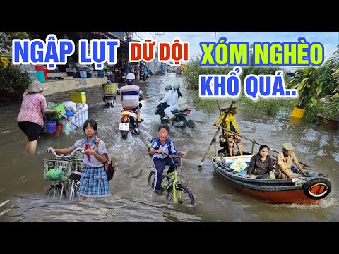 KHỔ QUÁ NƯỚC LŨ DÂNG CAO NGẬP LỤT TRÀN LAN - BÀ CON MƯU SINH TRONG NƯỚC Ở XÓM CHÀI CẦN THƠ