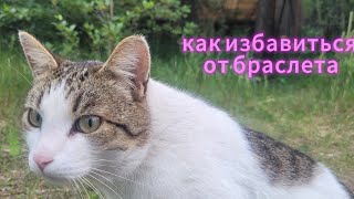 странный браслет меня преследует