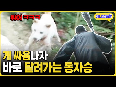 "내가 싸우지 말라고 했지!!!!" 빗자루 들고 달려가는 동자승 I KBS 주주클럽 080831 방송