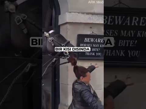 Atlar bir tek ona saldırmıyor!