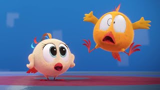 Chicky é um medroso | Onde está Chicky? | Pintinha amarelinho | Coleção desenhos animados Infantil