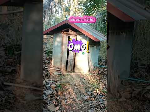 ไปดูอะไรในห้องหน่อยพี่ #funny #comedy #funnyvideo #ตลก #fun
