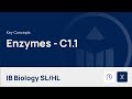 Enzyme Function and Activity Concepts