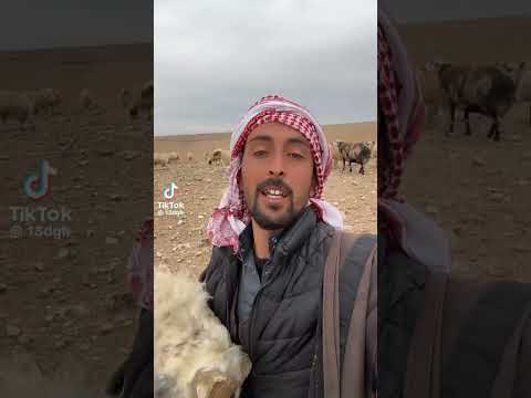 راع غنم بسيط وعلى الفطرة يدعو الله أن ينزل المطر بطريقة عفوية جميلة
