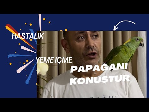 Papağan Konuşturma ve hastalık videosu