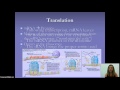 Molecular Biology: Mutations and Transcription