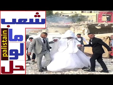 شعب مالوش حل (قصيدة لشعب غزة)