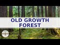 Old Growth Forests and Ecosystem Services