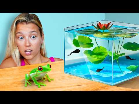 Raising Tadpoles to Frogs (100 Day Evolution)