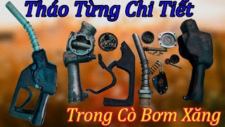 Tháo Lắp Chi Tiết Bên Trong Cò Bơm Xăng Dầu || Pvoil || Petrolimex