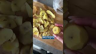 🥔В Беларуси Наступил 🥔Картофельный Кризис