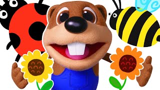 Honey Bee + More | Kids Songs Teach ABC Song, Colors Rhymes, Counting Numbers by Busy Beavers
