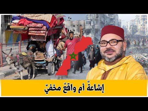 "حقيقةُ ترحيلِ سكانِ غزة إلى المغربِ.. إشاعةٌ أم واقعٌ مخفيٌّ