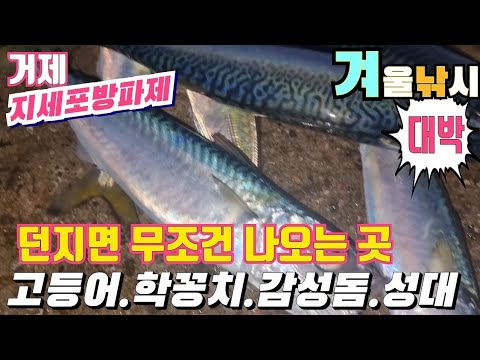 맛있고 귀한 전갱이 고등어가 더블히트에 난리가 났네요.. 낚시 성지 캠낚 지세포방파제 최신 화장실에 주차하고 비로 앞 #낚시 #캠낚 #블루앤피쉬