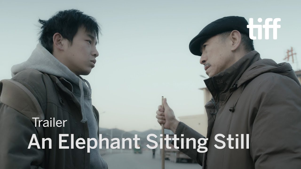 An Elephant Sitting Still Trailer thumbnail