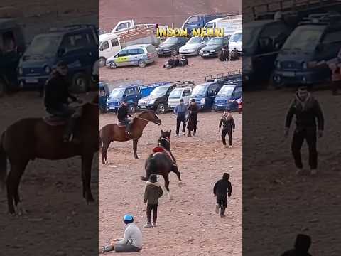 TULPOR ТУЛПОР#ot #лошади #horse #shorts #uloq #kupkari #rek