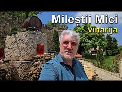 Mileștii Mici - najveći vinski podrum i kolekcija vina na svijetu